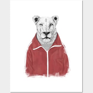 Sporty lion Posters and Art